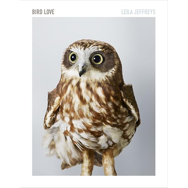 Amazon.com: Bird: 9780811870986: Zuckerman, Andrew: Books