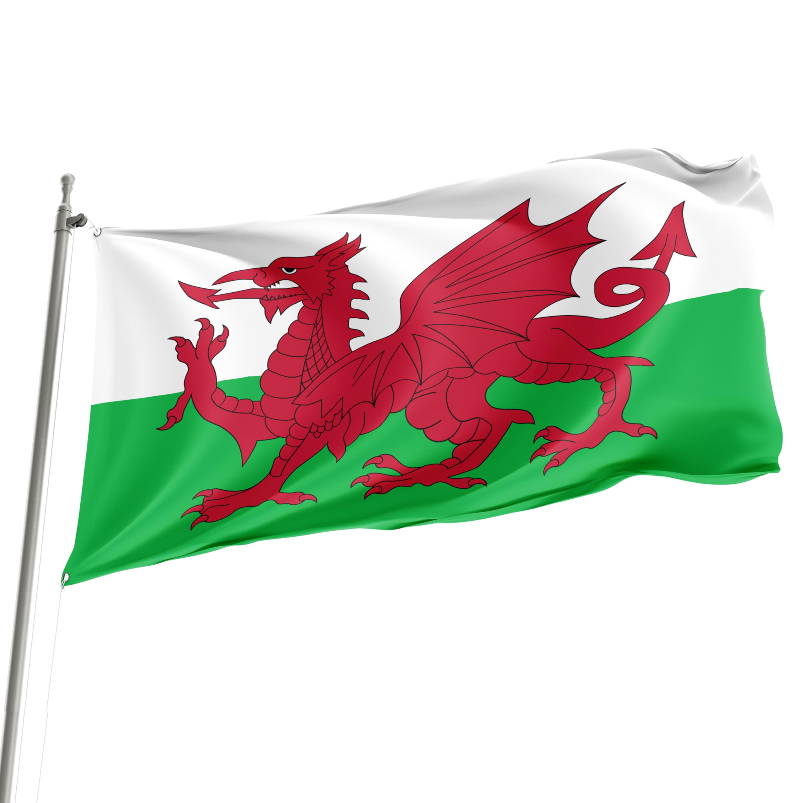 Wales - 150cm x 90cm Festival Event Flag