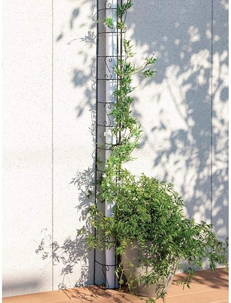 Amazon Co Jp ガーデニング フラワー ガーデニング用品 エクステリア ガーデニンググッズ クラシカル配管目隠しカバー G ホーム キッチン