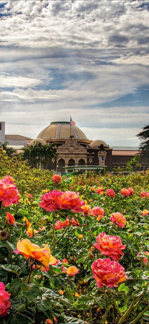 PeelitStickit, Beautiful Nature Wall Murals, ID-2861, vinyl