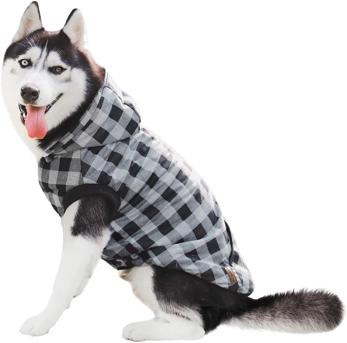 dog plaid shirt
