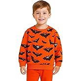 HILEELANG Boy Sweatshirts Crewneck Pullover Cotton Tops Clothing Shirts 2-7 Years