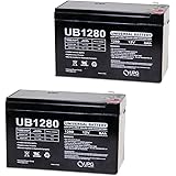 Razor E200/E200S/E300 Battery Replacement Battery Reuse Existing Connectors - Includes two batteries! (upg)