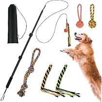 Outdoor Flirt Pole Für Hunde – Spielzeug-Teaser Mit Seil, Robust, Für Kleine & Mittlere Hunde
