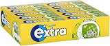 Extra Apple Flavour Sugar Free Chewing Gum 30 Pack 300 Pieces
