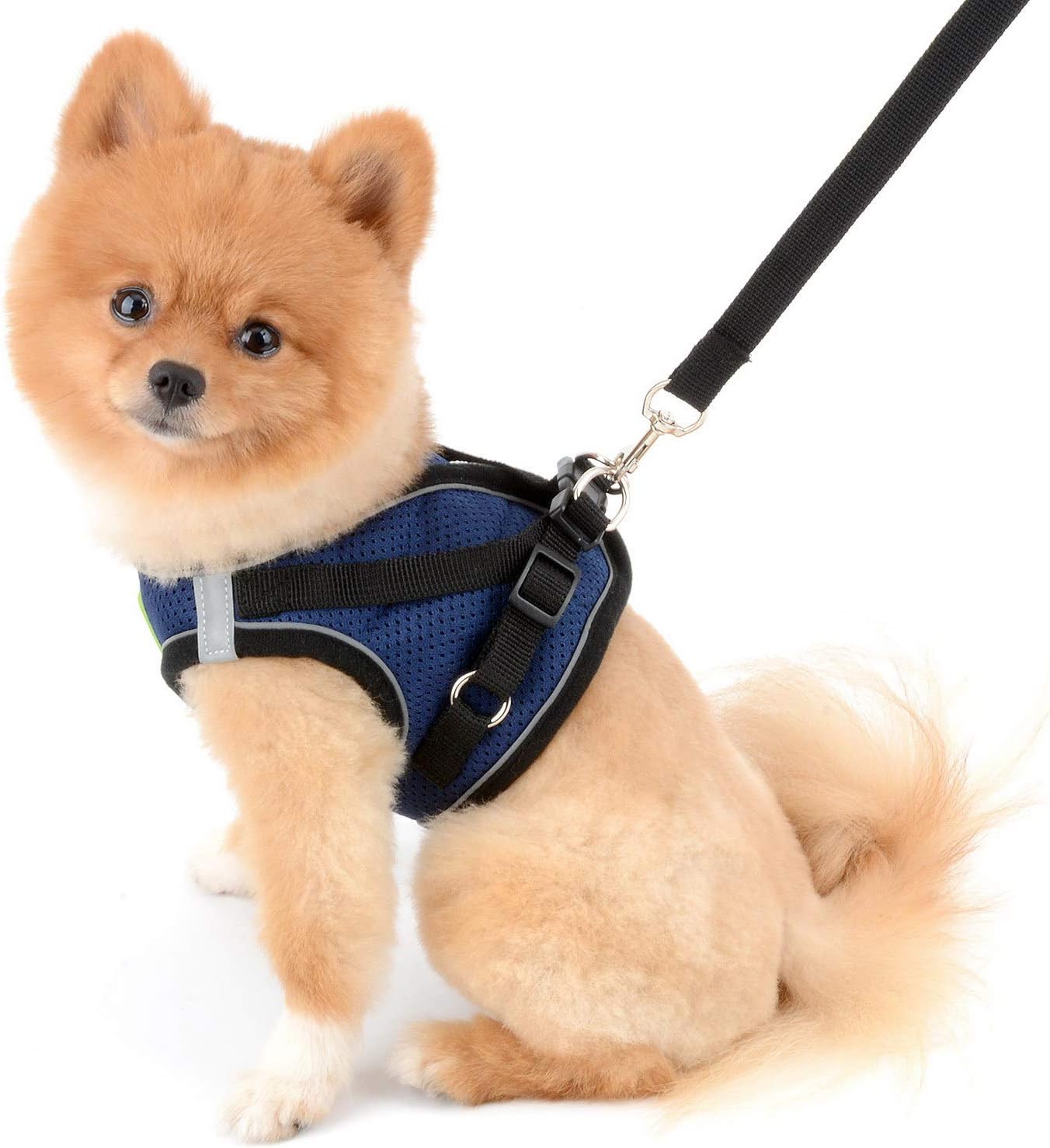 SMALLLEE_LUCKY_STORE Soft Mesh Step-in Small Dog/Cat Harness and Lead Set for Walking Reflective Puppy Vest Harness Outdoor Training,Navy Blue,Size S - Image 5