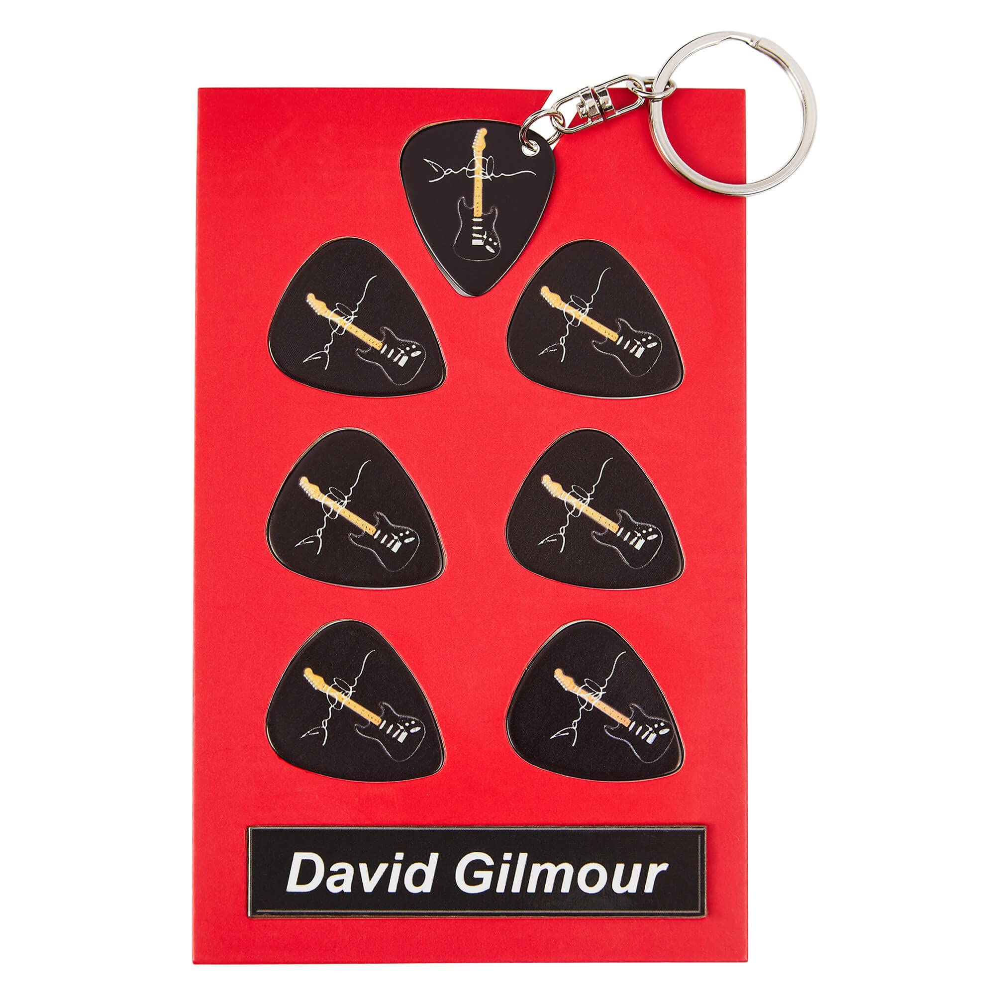 D Gilmour Guitar Plectrum Gift Set | 6 Artist Plectrums | 1 Artist Keyring