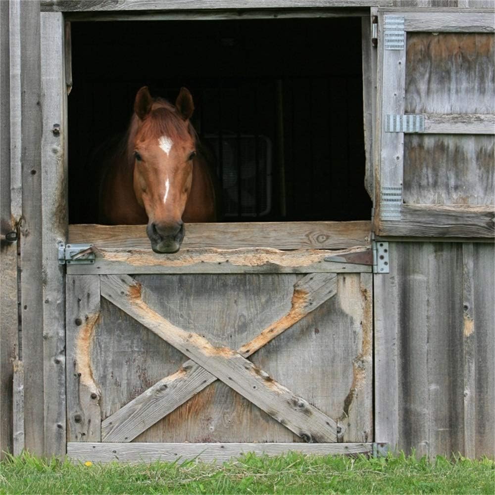 LFEEY 10x10ft Farm Grassland Barn Door Backdrop Wooden