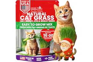 NatureZ Edge Premium Cat Grass Seeds for Indoor Cats, Non GMO - 1 lb Oat, Wheat, Barley & Rye Grass for Indoor Cats, Cat Plant, Kitty Lawn, Pet Grass, Hierba para Gatos, Made in USA