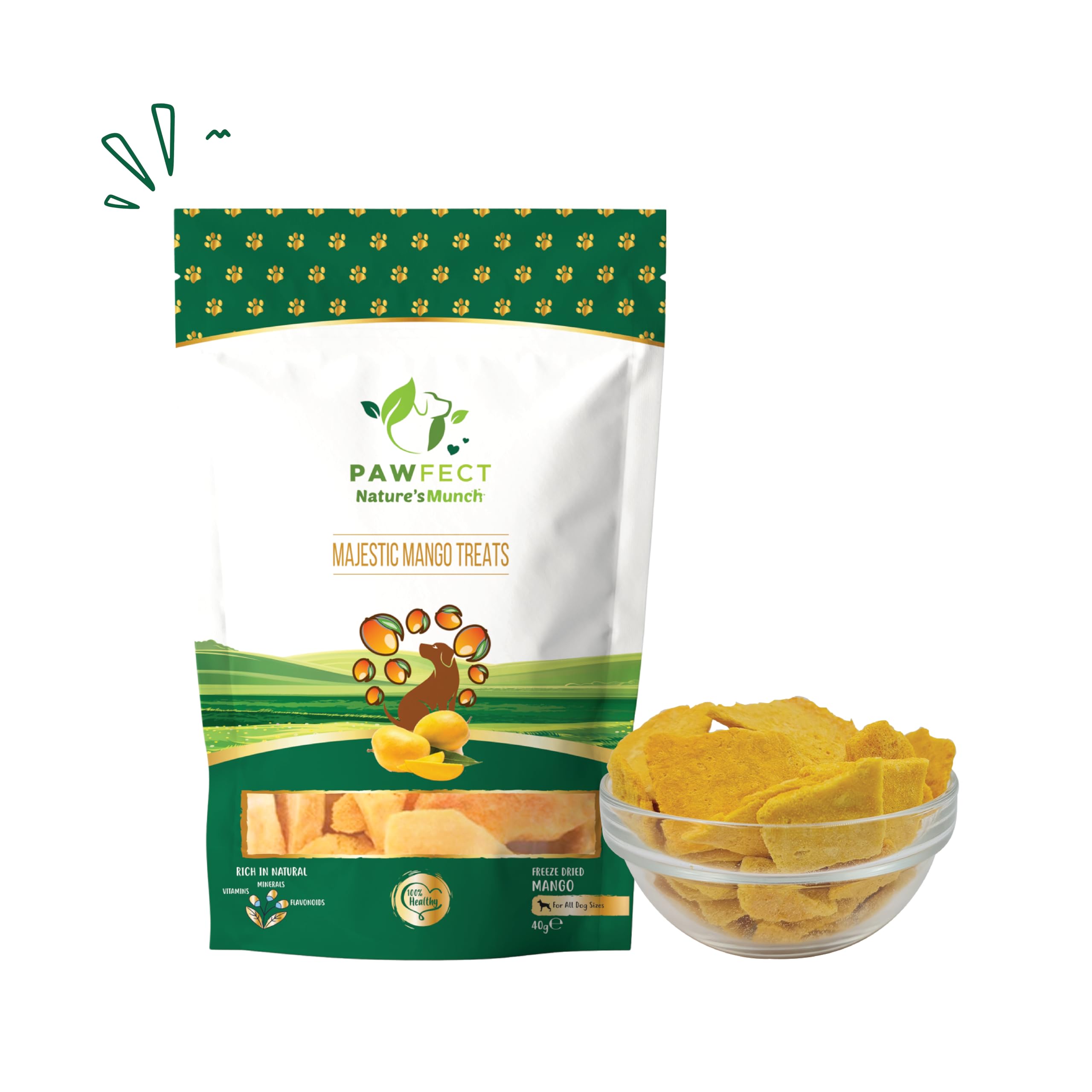 Single Ingredient Vegan Treats: Mango (40g/1.41oz)