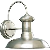 Progress Lighting P5722-81 Brookside Outdoor, 10-Inch Width x 10-3/4-Inch Height, Nickel