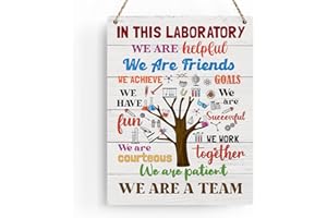 BELLOWDEER Science Classroom Decor Science Decoration Wall Art In This Laboratory We Are Patient Team Decoration Science Gifts Library Decor Scientists Wooden Hanging Sign for School Classroom Library 8x10 Inches
