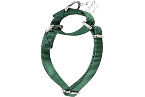 Dazzber Martingale Dog Collar, No-Buckle Escape-Proof Design, Heavy-Duty Nylon and Welded D-Ring, Adjustable Training Collar for Medium Large Dogs (Dark Green, L)