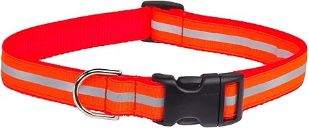 types of white cats with blue eyes