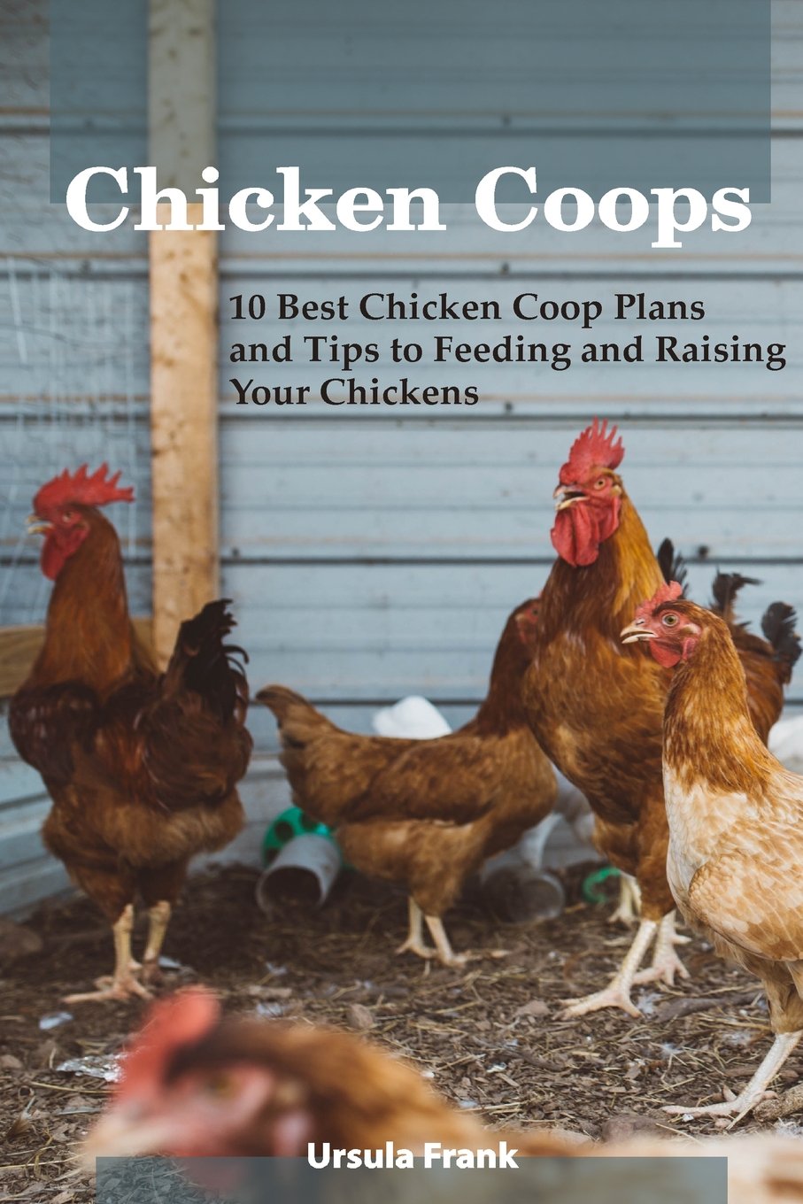 Chicken Coops 10 Best Chicken Coop Plans And Tips To Feeding And