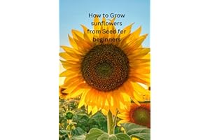 HOW TO GROW SUNFLOWERS FROM SEED FOR BEGINNERS: The only book you need for growing Sunflowers from seed whether your new to g