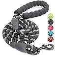 BAAPET 2/4/5/6 FT Strong Dog Leash with Comfortable Padded Handle and Highly Reflective Threads for Small Medium and Large Do