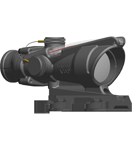 Amazon.com : Trijicon ACOG TA31-D-100308 4x 32 Dual Illuminated