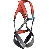 Black Diamond Momentum Harness-Kids' Fl Body