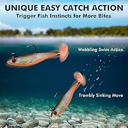 TRUSCEND Fishing Lures for Bass Trout Jighead Lures