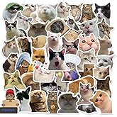 myusya 50 Pcs Cat Stickers,Funny Cat Meme,Waterproof Vinyl Stickers for Laptop Phone Guitar Water Bottles Luggage
