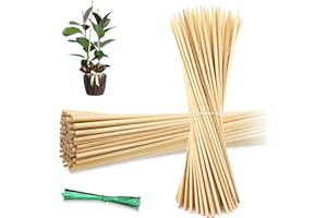 50PCS Bamboo Plant Stakes, 18Inch Natural Bamboo Sticks Garden Stake, HAINANSTRY Plant Support Stakes for Indoor and Outdoor Plants, Stakes for Gardening, Orchid Tomato Vegetable Stakes for Garden