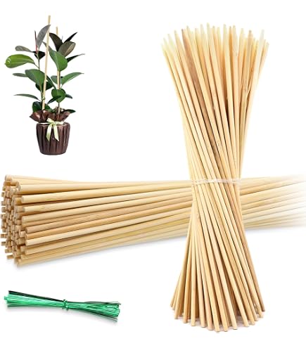 超美品 MOSS STICK 26SW 超美品 MOSS STICK 26SW TIJIKO Moss Stick for Climbing Plants