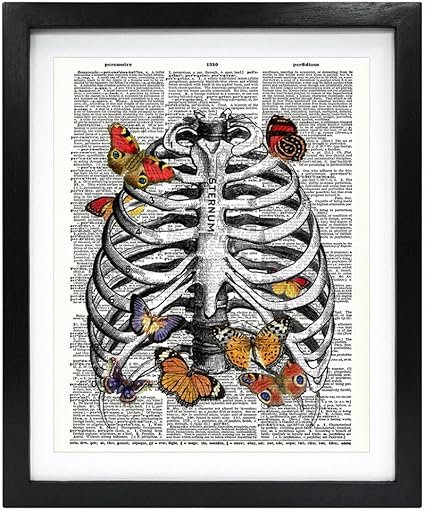 Amazon De Susie Arts 8 X 10 Schmetterling In Gerahmt Brustkorb Aus Recycelten Vintage Worterbuch