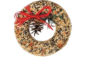 BIRDIE BLENDS Mr. Bird Wildfeast Bird Seed Christmas Wreath: 9" Solid Seed, Nut and Fruit with Raffia Bow