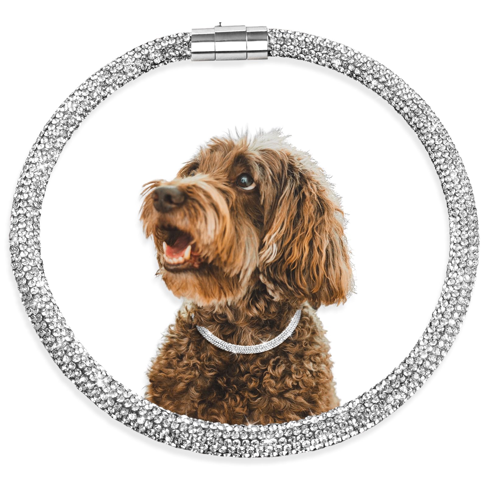 Photo 1 of Woofuu Stylish and Luxurious Diamond Dog Collar,Magnetically Absorbent Clasp,Full Diamond Design,Perfect for Wedding and Everyday Walking - Studded with Diamons Necklace Collar for Medium Dogs,16''