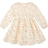 Beinou Toddler Fall Dress for Girls Long Sleeve Dress Baby Girls' Cotton Dresses Casual Spring Fall Outfits for Toddler