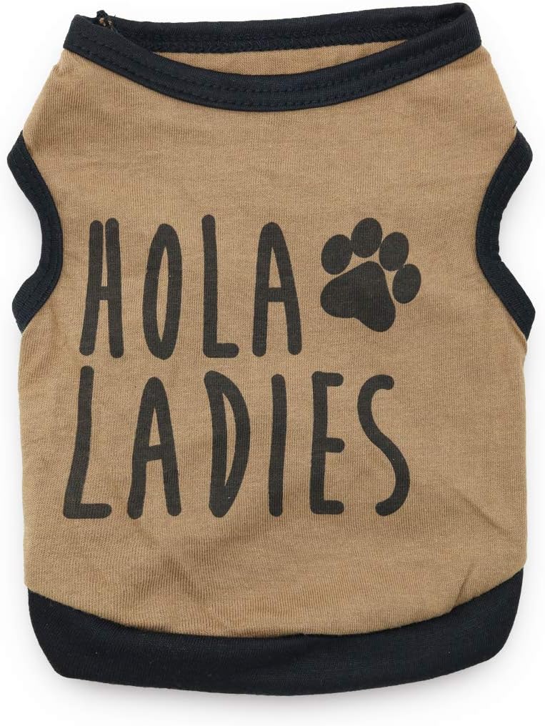DroolingDog Adidog Dog Clothes Pet Dog Tracksuit for Small Clothes