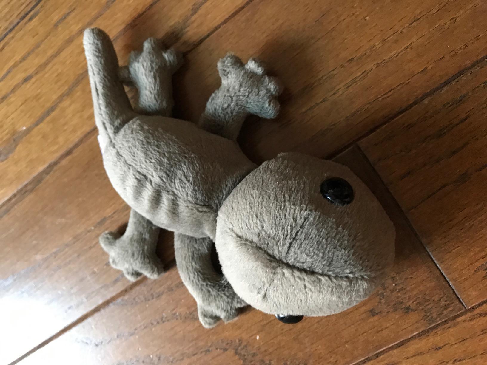 Amazon Co Jp Little Beans ヤモリ ぬいぐるみ 15cm おもちゃ On Amazon Co Jp Shopping Assistant Deputy Service Japamart Amazon Co Jp Little Beans ヤモリ ぬいぐるみ 15cm おもちゃ On Amazon Co Jp Shopping Assistant Deputy Service Japamart