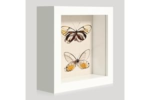 CCDCC 5x5 Small Shadow Box Picture Frame Display Case with Soft Linen Back, White Wooden Memory Shadow Box Frame with Tempered Glass Cover for Wall or Tabletop Display