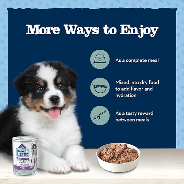 BLUE BUFFALO BABY BLUE NATURAL WET FOOD FOR PUPPIES, HEALTHY GROWTH FORMULA WITH DHA, TURKEY & VEGETABLE RECIPE, 12.5-OZ. CAN