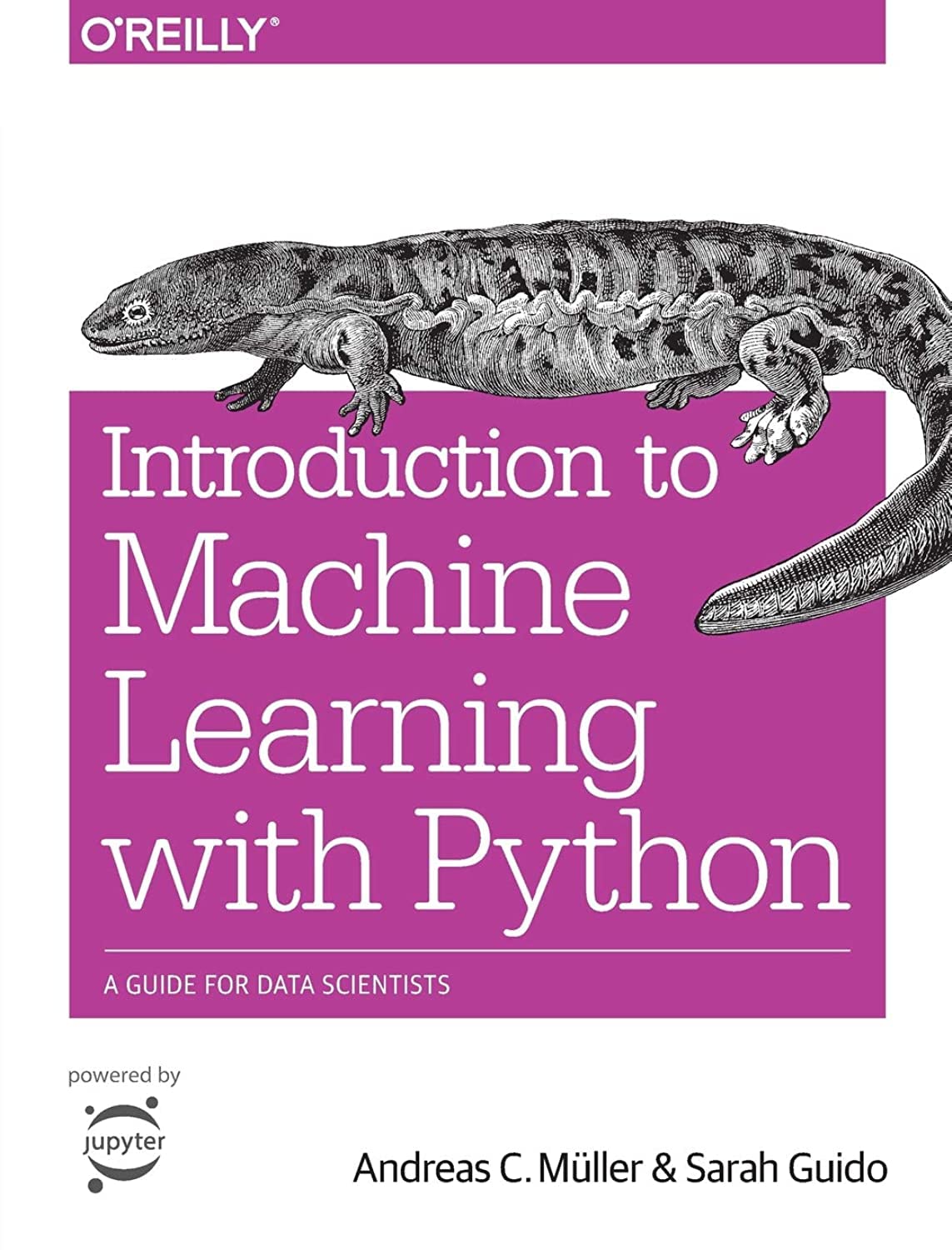 Mua Introduction to Machine Learning with Python: A Guide for Data ...