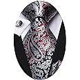 Hi-Tie Silk Paisley Ties for Men Necktie Pocket Square Cufflinks Set Foral Tie Sets Formal Business