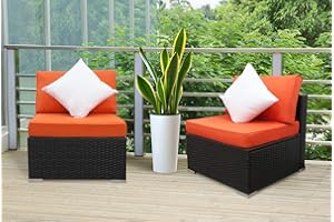 EXCITED WORK PE Wicker Sofa Outdoor Loveseat 2 Piece Patio Couch with Washable Couch Cushions, Outdoor Sectional Furniture Sofa Sets