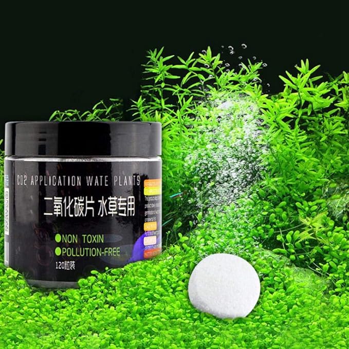 Amazon スクールシーズン 特別プロモーション アクアリウムco2タブレット 水生植物の草の魚飼育用の水槽のための1pcs Co2タブレットの二酸化炭素拡散器 Zouminyy 金魚鉢 通販