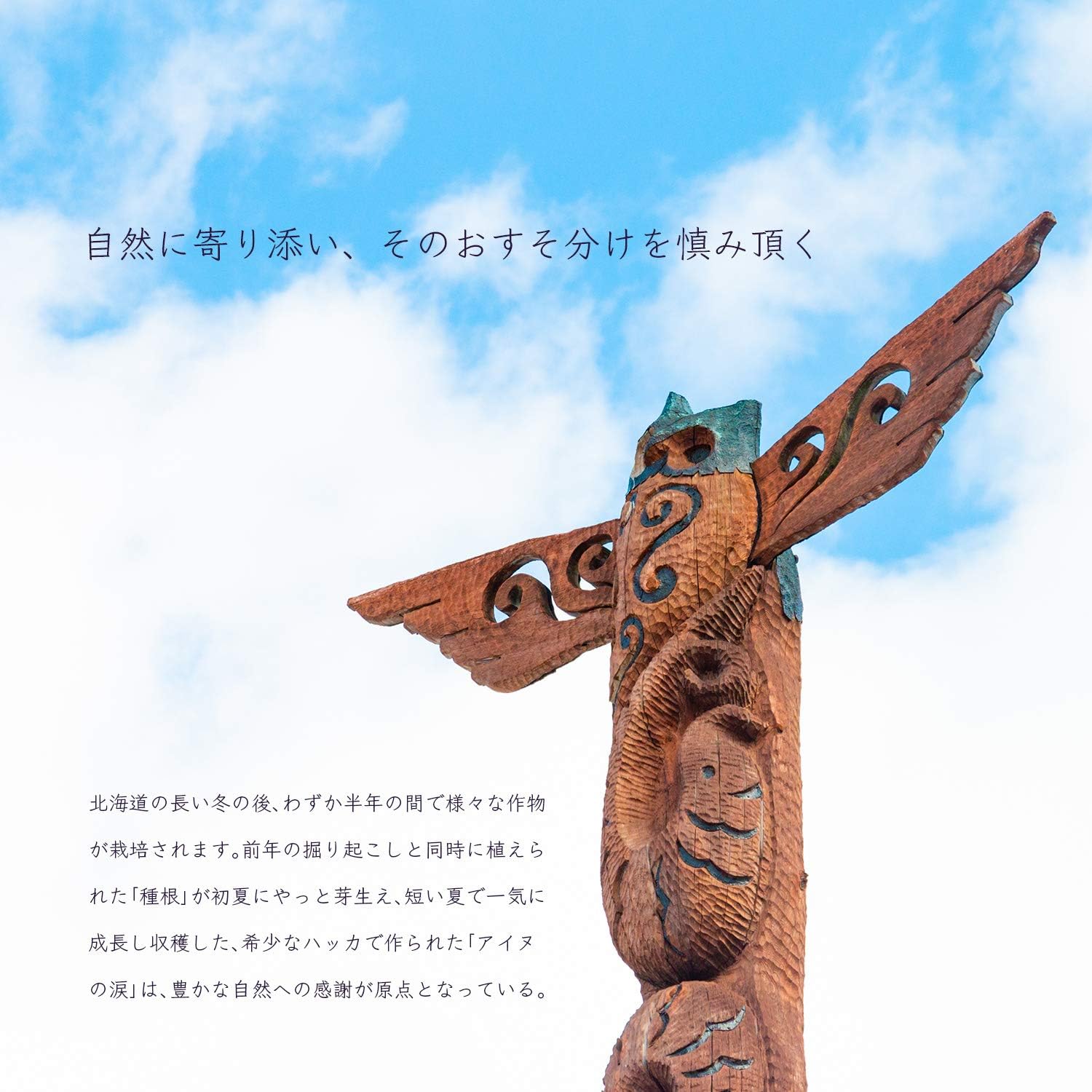 Amazon 夏を乗り切る アイヌの涙 天然国産ハッカオイル 原液 液体入浴剤 バスオイル 通販