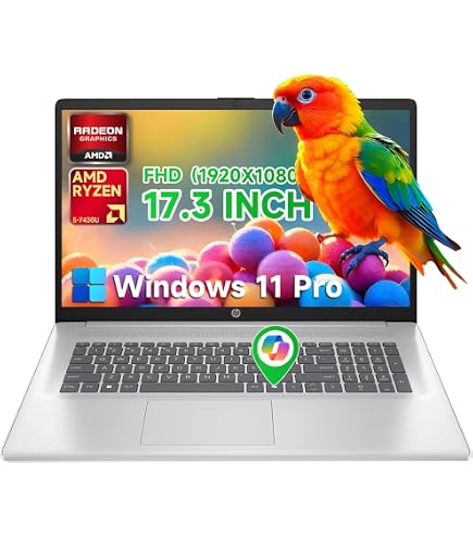 Amazon.com: HP 17.3'' FHD IPS Display Business Laptop, AMD Ryzen 5
