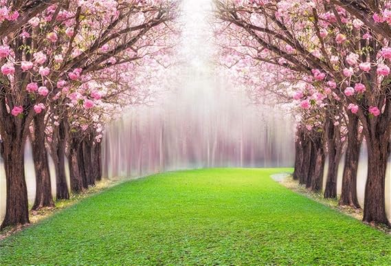 4x5ft Sweet Blossom Cherry Background Spring Tunnel Photography Backdrop Outdoor Road Flower Tree Park Natural Scenery Photo Studio Props Kid Girl Child Baby Artistic Portrait Vinyl Wallpaper Video Studio Lighting Studio