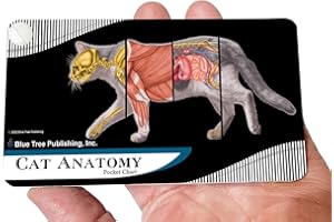 BLUE TREE PUBLISHING Cat Veterinary Anatomy Pocket Charts, Anatomy & Veterinary Physiology Feline Workbook -30 Pages - 5." x 3" - for Vet Nurses and Students