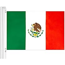 洋書 Infinitas Gracias: comporary Mexican 洋書 Infinitas Gracias: comporary Mexican Amazon.com