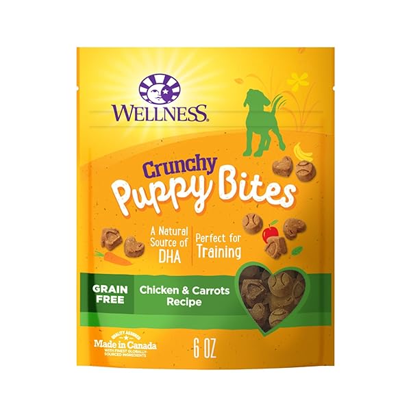 WELLNESS CRUNCHY PUPPY BITES DOG TRAINING TREATS, NATURAL,...