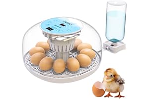 OKKÖBI Okkobi M12 | Egg Incubator with Automatic Egg Turning and Humidity Control - 12/24 Eggs, 360° View, Easy to Use and Clean - Egg Incubators for Hatching Eggs - Incubadora de Huevos de Gallina
