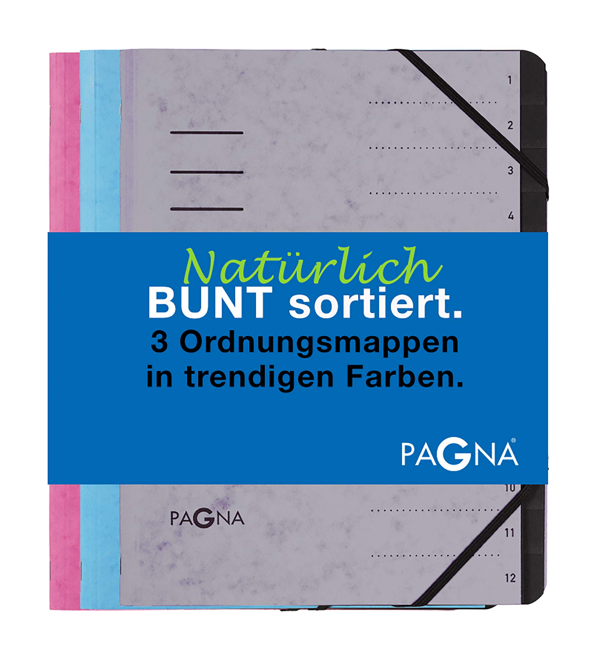 Pagna Trend Folder Set 12 Compartments Assorted Set of 3 Light Blue Light Grey Dark Pink