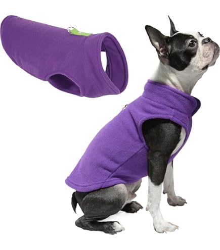 Ruffwear Harness Dog Leash For Large Dogs Kurgo K9 Core Dog