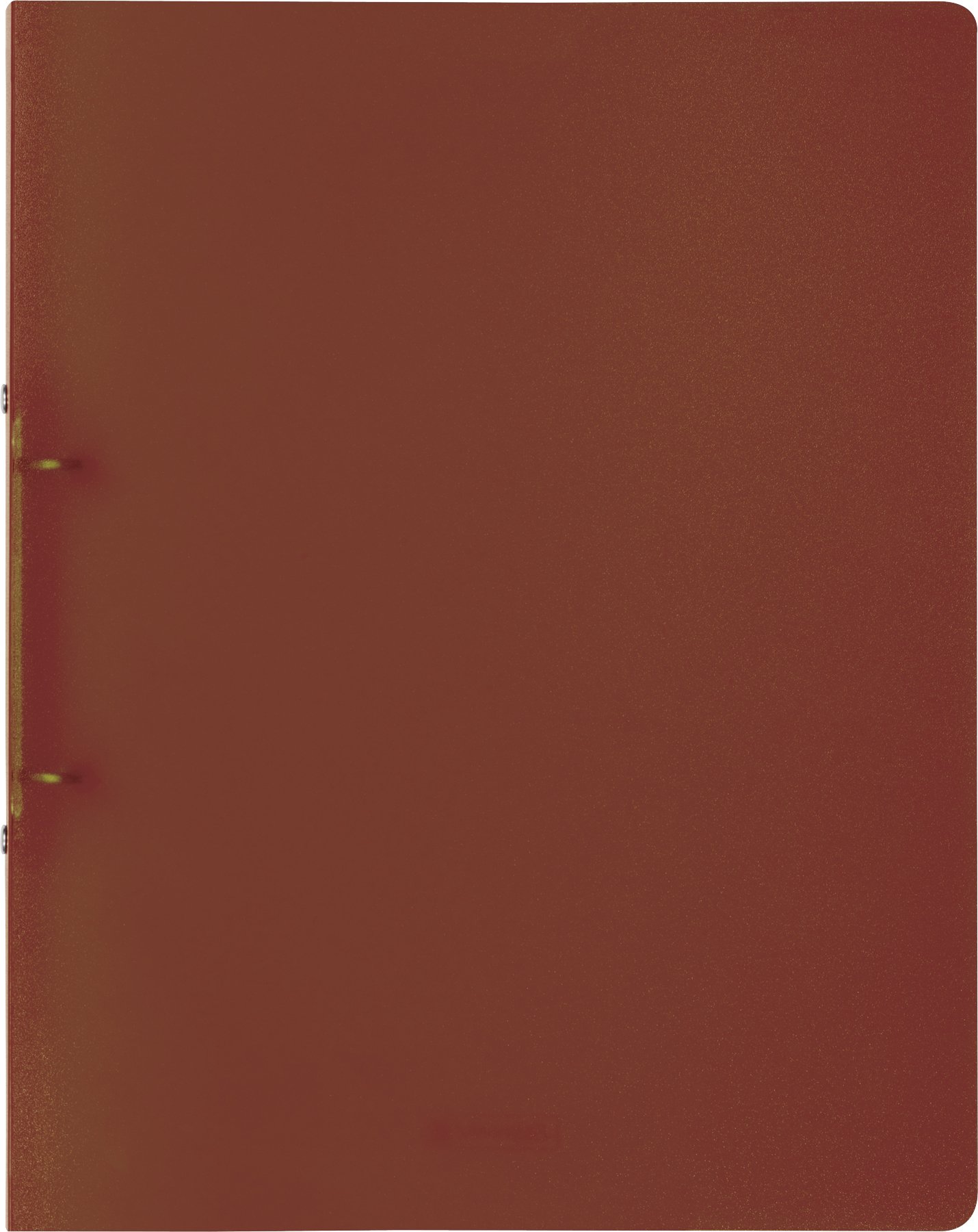 Brunnen Fact 106551679 Ring Binder A4 Polypropylene 16 mm Capacity 2 Rings, Brown