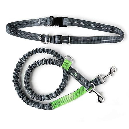 Mighty Paw Hände Frei Hund Leine, Premium Running Dog Leine, Leicht Reflektierende Bungee Hund Leine, Grey/Lime - 36 inch